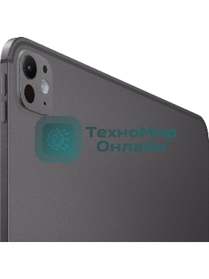 Планшет Apple iPad Pro 2025 A3360 13