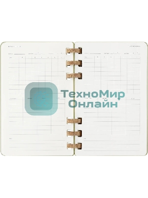 Еженедельник Moleskine ACADEMIC SPIRAL DHSPK5212AMWH3 Large 150х210 мм 200 стр. кремовые страницы спираль киви