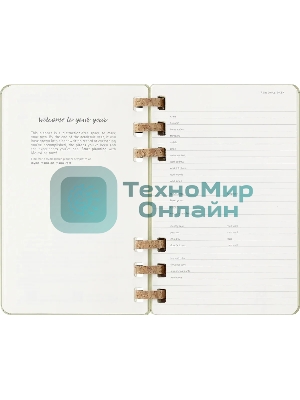 Еженедельник Moleskine ACADEMIC SPIRAL DHSPK5212AMWH3 Large 150х210 мм 200 стр. кремовые страницы спираль киви