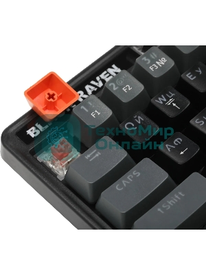 Клавиатура проводная Defender Black Raven GK-417, USB, черный