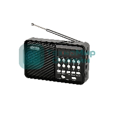 Радиоприемник PERFEO (PF_D0566) PALM, черный