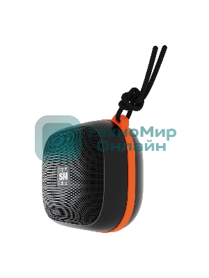 Портативная колонка Soundmax SM-PS5009B черный