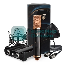 Профессиональный студийный ламповый микрофон Icon Space 251