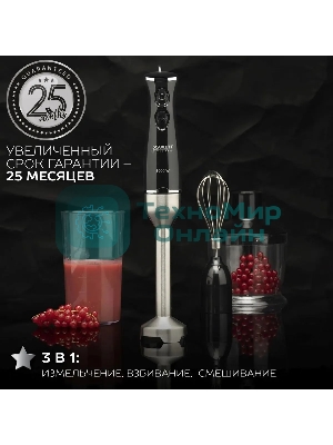 Кухонный блендер Scarlett SC-HB42F73 (Silver Line)