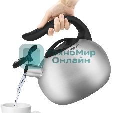 Чайник для плиты металлический Rondell Coupage RDS-1832 2.8 л. стальной