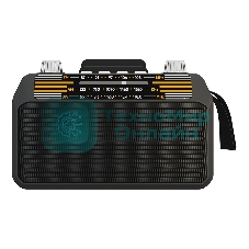 Радиоприемник SOUNDMAX SM-RD2114UB черный