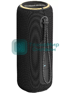 Портативная колонка AIWA PAS-H200 черный