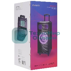 Минисистема AIWA CAS-2021 черный