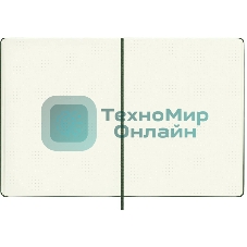 Блокнот Moleskine CLASSIC QP093K15 XLarge 190х250 мм 192 стр. пунктир твердая обложка зеленый