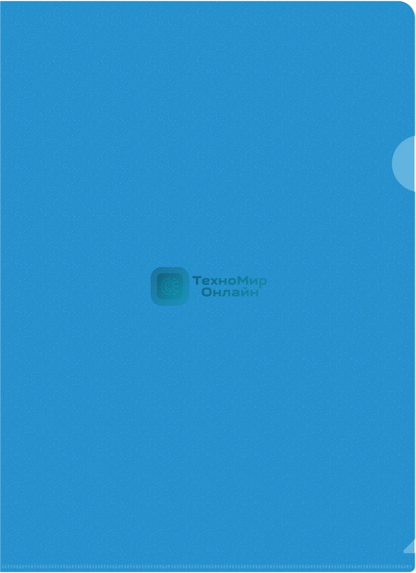 Папка-уголок Silwerhof Eco тисненый A4 пластик 0.12мм синий