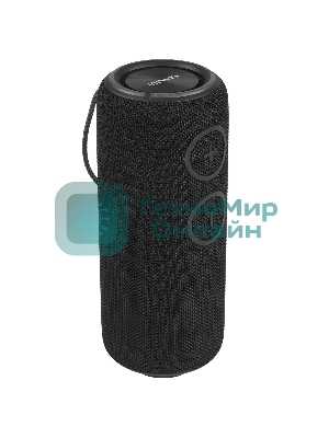 Колонка беспроводная AIWA PAS-H300 черный