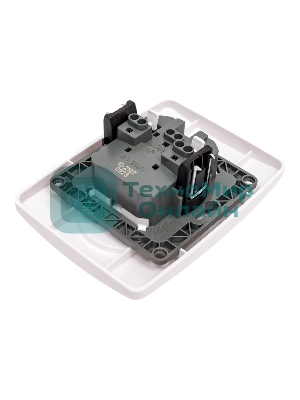 Розетка ЭРА 2X2P, 16A-250В, IP20, белый (10/100/1600)