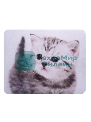 Коврик для мыши Buro BU-M40087 рисунок/котенок