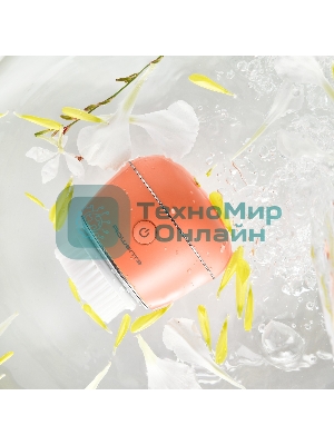 Щетка (д/очистки лица) Rowenta LV4010F0