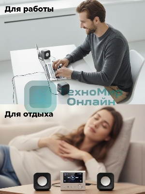 Портативная колонка Ritmix SP-3010 черный