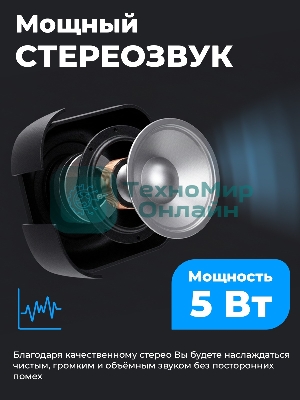 Портативная колонка Ritmix SP-3010 черный