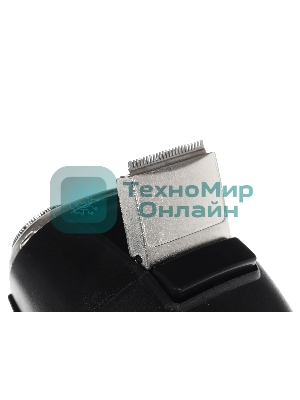 Электробритва Бердск 9М черный/стальной
