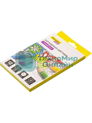 Карандаши цветные Silwerhof Create Jumbo 6мм, шестигранный профиль, дерево, ассорти, 12 цветов, коробка с европодвесом