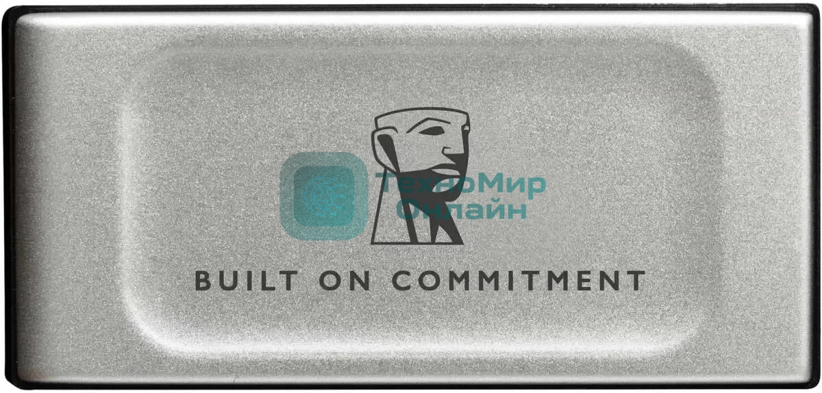 Внешний SSD Kingston XS2000, 1TB, USB 3.2 Gen 2x2 Type-C, R/W 2000/2000, серебристый