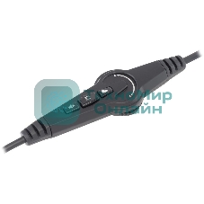 Наушники с микрофоном Oklick/Оклик HS-L810G ANONYMOUS черный 2.2м мониторные оголовье