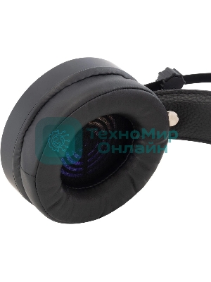 Наушники с микрофоном Oklick/Оклик HS-L810G ANONYMOUS черный 2.2м мониторные оголовье