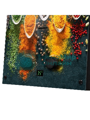 Колонка газовая Ballu GWH 10 Fiery Glass Curry