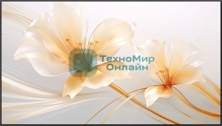 Экран на раме Xgimi 127.6x224.5 см 100