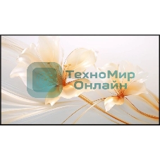 Экран на раме Xgimi 127.6x224.5 см 100