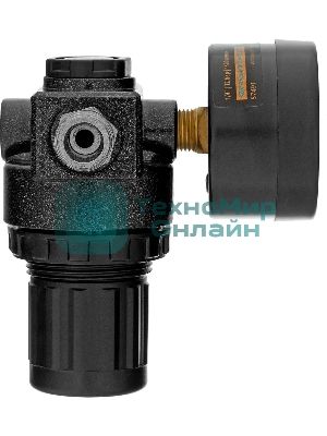 Регулятор давления с манометром Denzel R1500, 12 бар, 1/4