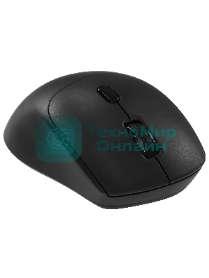 Мышь беспроводная Ritmix RMW-212 Black