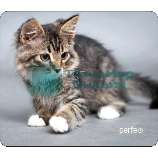 Коврик для мыши PERFEO PF_D0661 