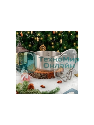 Кастрюля TalleR 17257 нержавеющая сталь