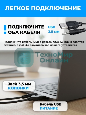 Портативная колонка Ritmix SP-3040W