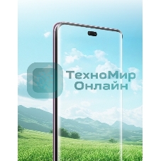 Смартфон Honor X9c, 12/256Gb, зеленый