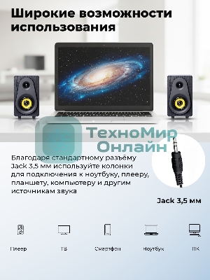 Портативная колонка Ritmix SP-3040W