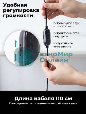 Портативная колонка Ritmix SP-3040W