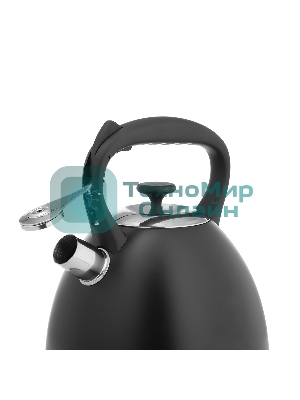 Чайник для плиты Lara LR00-74 3 л, нержавеющая сталь, черный матовый