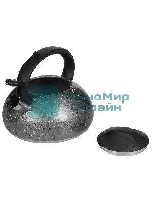 Чайник для плиты ALPENKOK AK-537 3 л