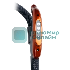 Пылесос Centek CT-2544 серый/бронзовый, 450/2400 Вт, уборка сухая, пылесборнмк контейнер 3 л