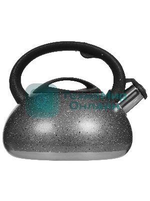 Чайник для плиты ALPENKOK AK-537 3 л