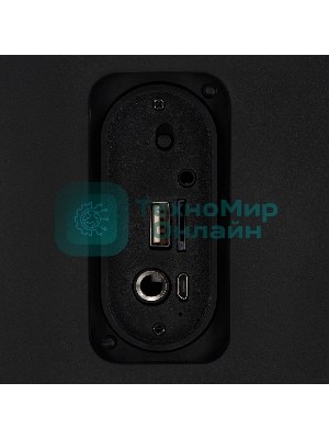 Минисистема Hyundai H-MC1230 черный 40Вт FM USB BT micro SD