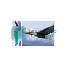 Коврик для мыши Buro BU-M40005 рисунок/орел