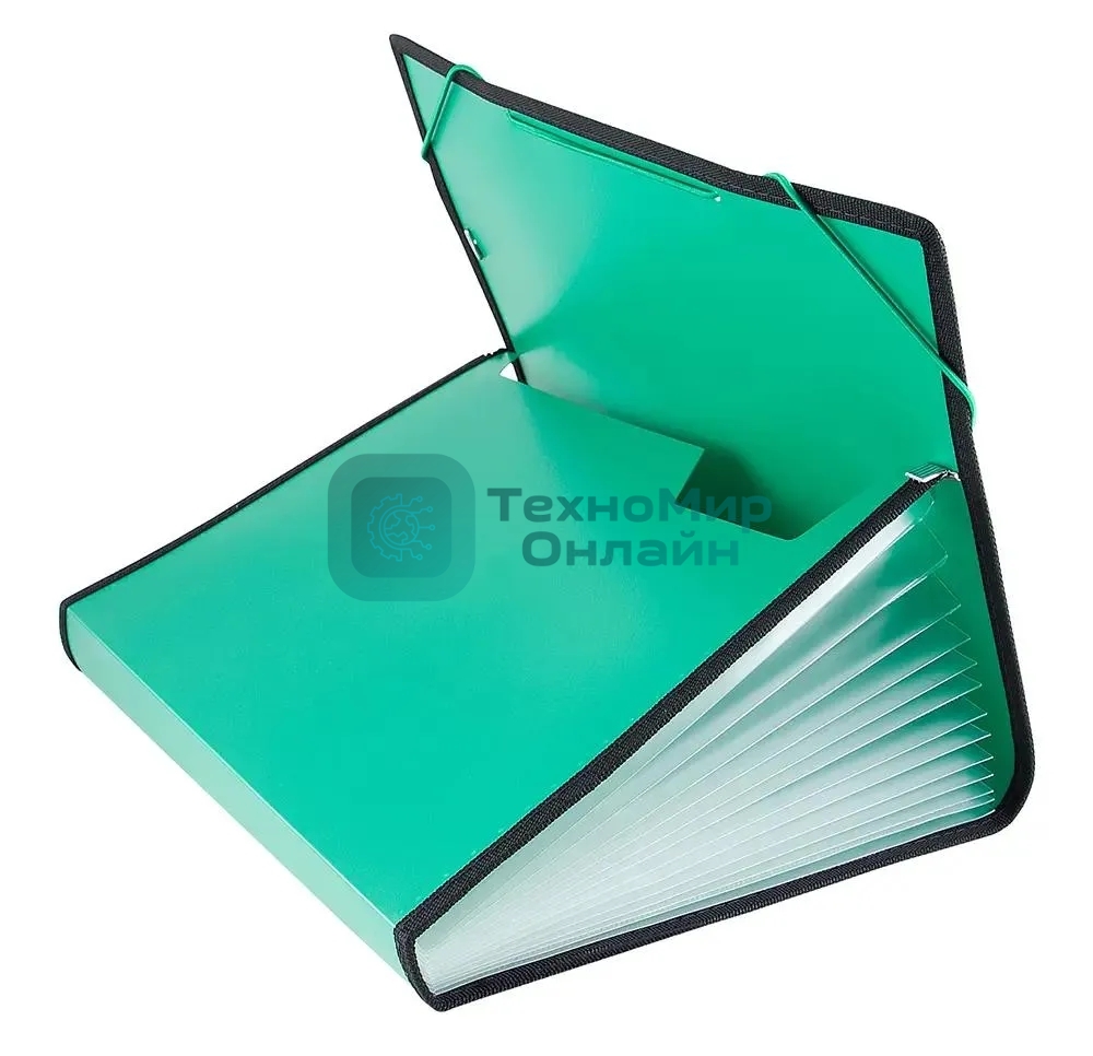 Папка на резинке Бюрократ -BPR13LGRN 13 отделений, A4 с окантовкой, пластик, 0.7мм, зеленый