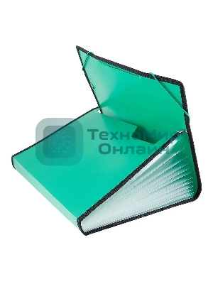 Папка на резинке Бюрократ -BPR13LGRN 13 отделений, A4 с окантовкой, пластик, 0.7мм, зеленый