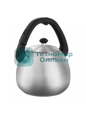 Чайник металлический Rondell Esfera RDS-1656, 3л, стальной