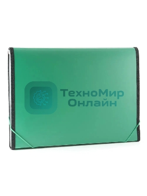 Папка на резинке Бюрократ -BPR13LGRN 13 отделений, A4 с окантовкой, пластик, 0.7мм, зеленый