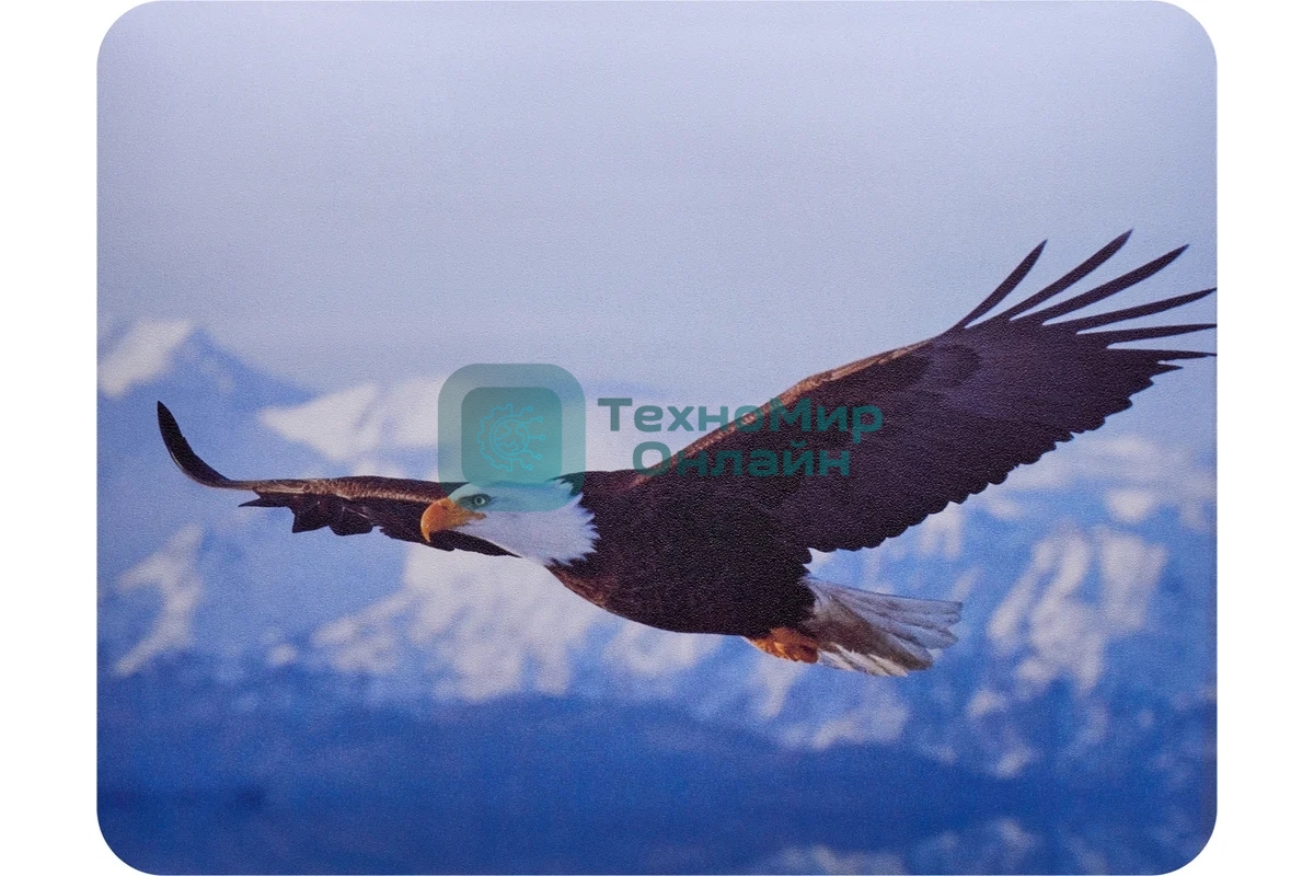 Коврик для мыши Buro BU-M40005 рисунок/орел