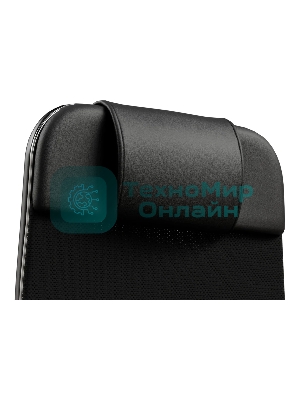 Кресло офисное ErgoLife Comfort, черный 1F6.16.1.543 z1F6.16.1.543