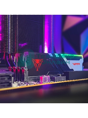 Оперативная память Patriot Viper Venom, DDR5, 48Gb (2x24 Gb), 6000 MHz, CL30, DIMM, радиатор, RGb, черный