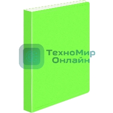 Папка с металлическим пружинным скоросшивателем Бюрократ Double Neon DNE07PLETT A4, пластик, 0.7мм корешок 27мм, карман продольный внутренний, салатовый